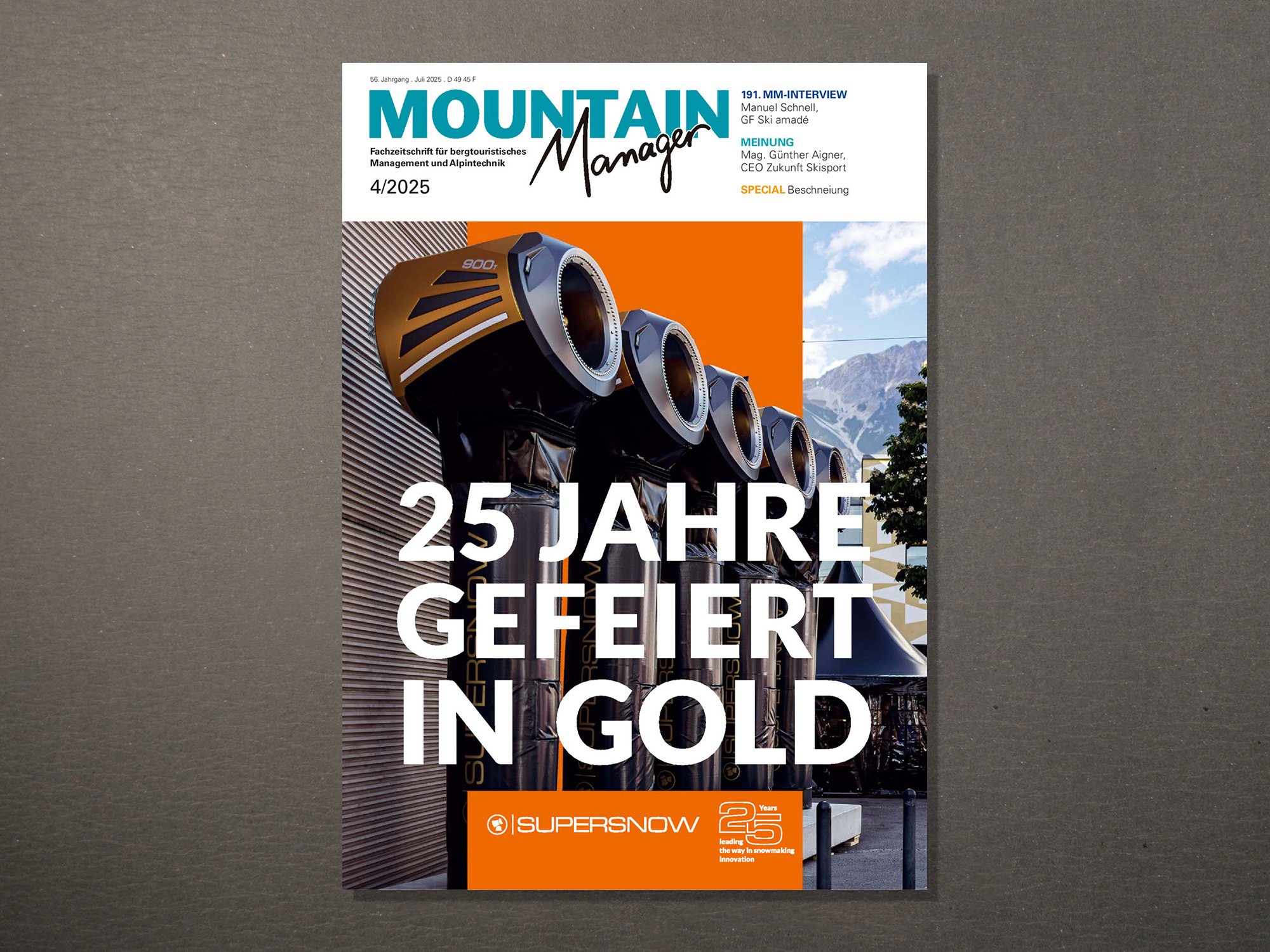 Mountain Manager | Internationale Auszeichnung für Loser